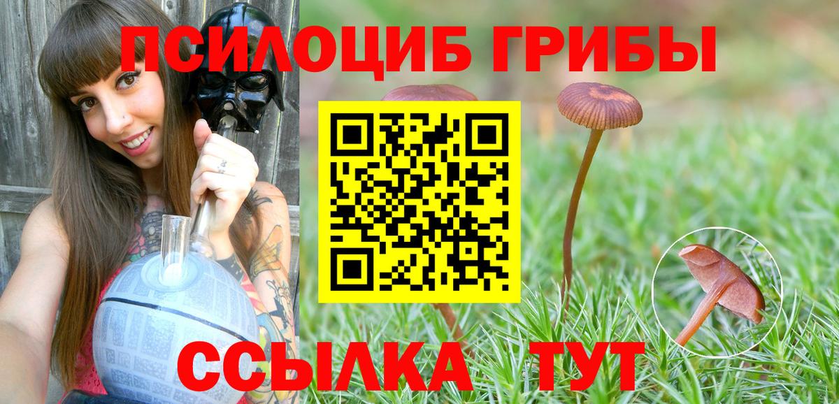 дарнет шоп  Вход с VPN  Россошь  Псилоцибиновые грибы MAGIC MUSHROOMS 