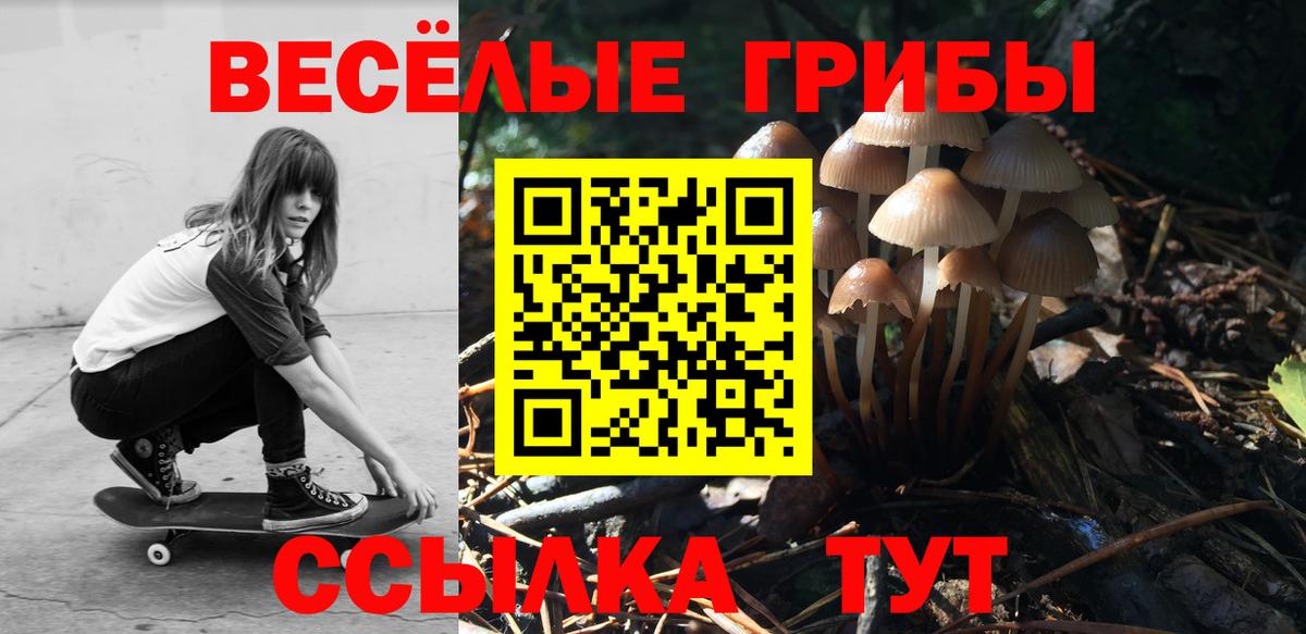 Псилоцибиновые грибы мицелий Россошь