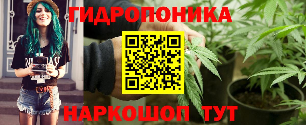 Каннабис SATIVA & INDICA Россошь